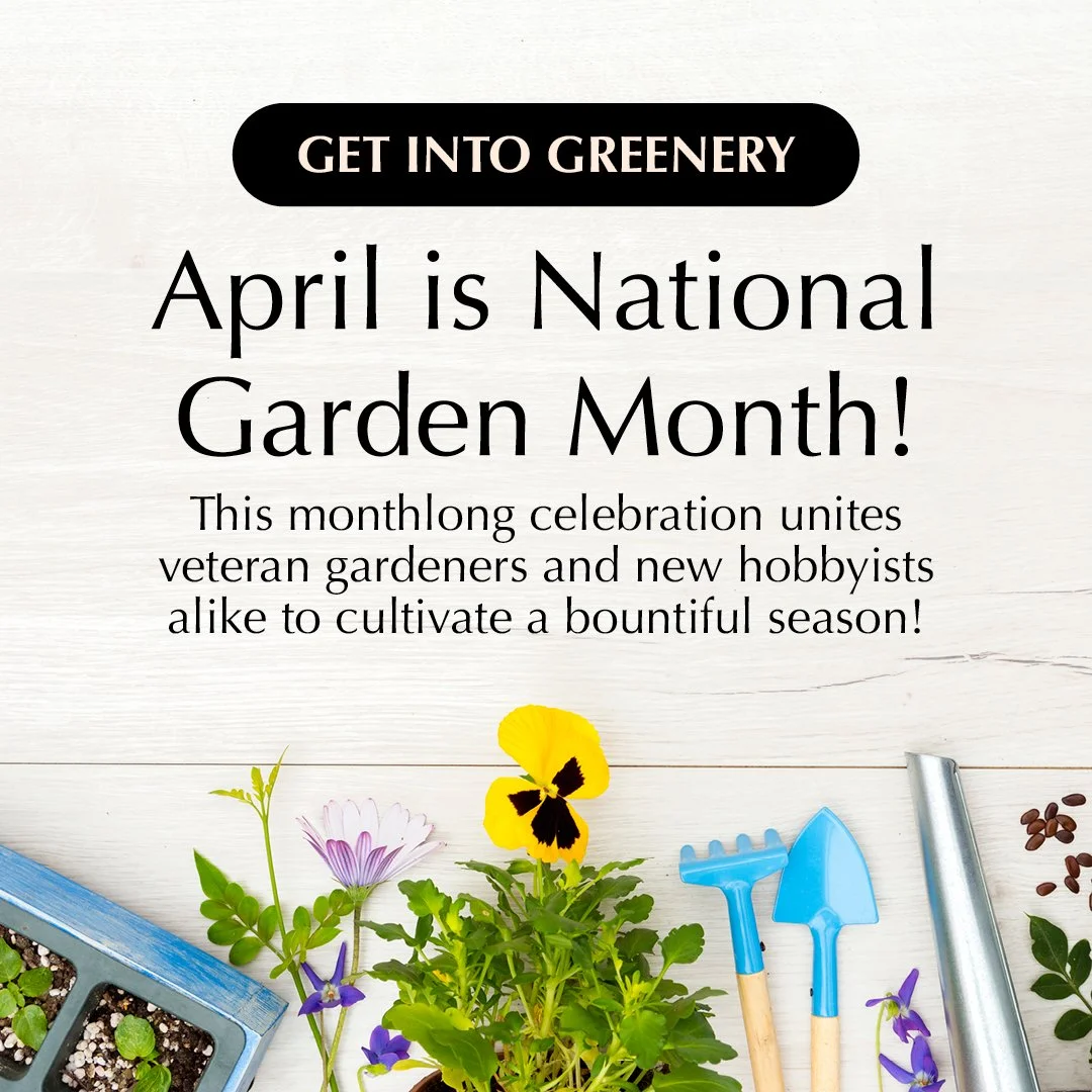 Happy National Garden Month! 🌿✨

Transform your backyard into a sanctuary of beautiful views and better value. 🌺 💚 Cultivating a garden isn't just about planting pretty flowers; it's also about making investments in your home's aesthetics, persona
