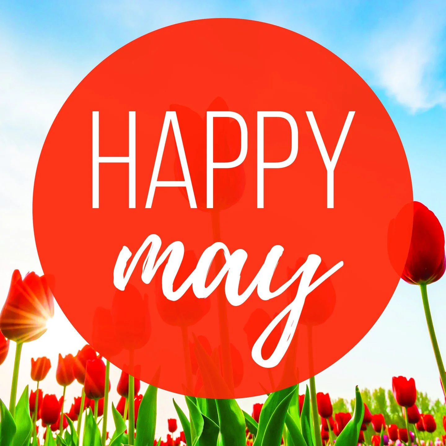Here&rsquo;s wishing you a great May! What are you looking forward to this month?

#may #flowers #springtime #sunnydays #sunshine #warmweather #outdoors #rmsma