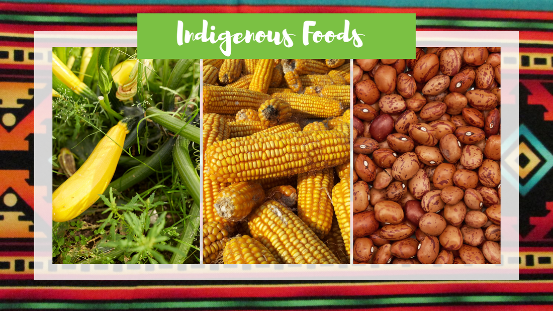indigenous-foods-graphic_orig.png