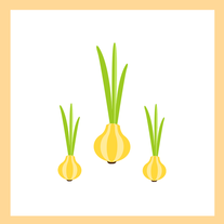 food-scraps-1.png