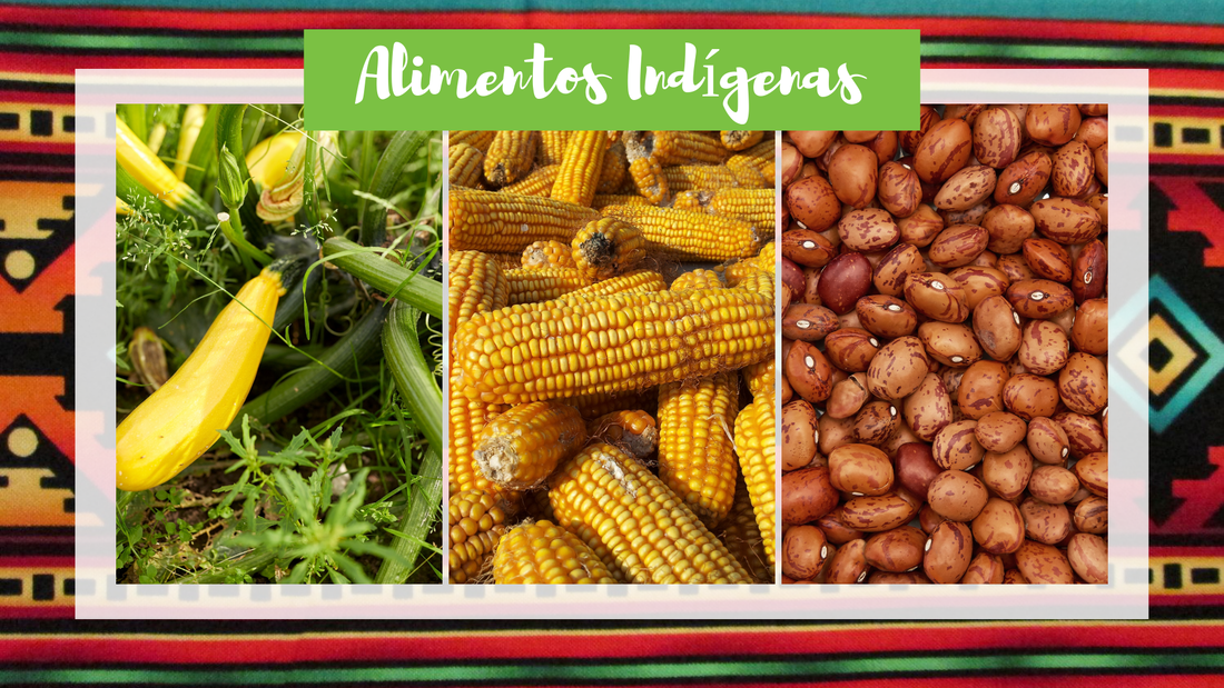 indigenous-foods-graphic-1_orig.png