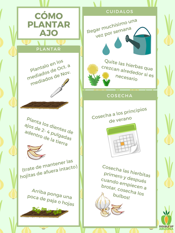 dufb-blog-graphic-1_orig.png