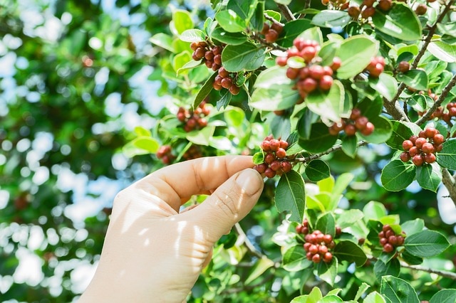 coffee-1839805-640_orig.jpg