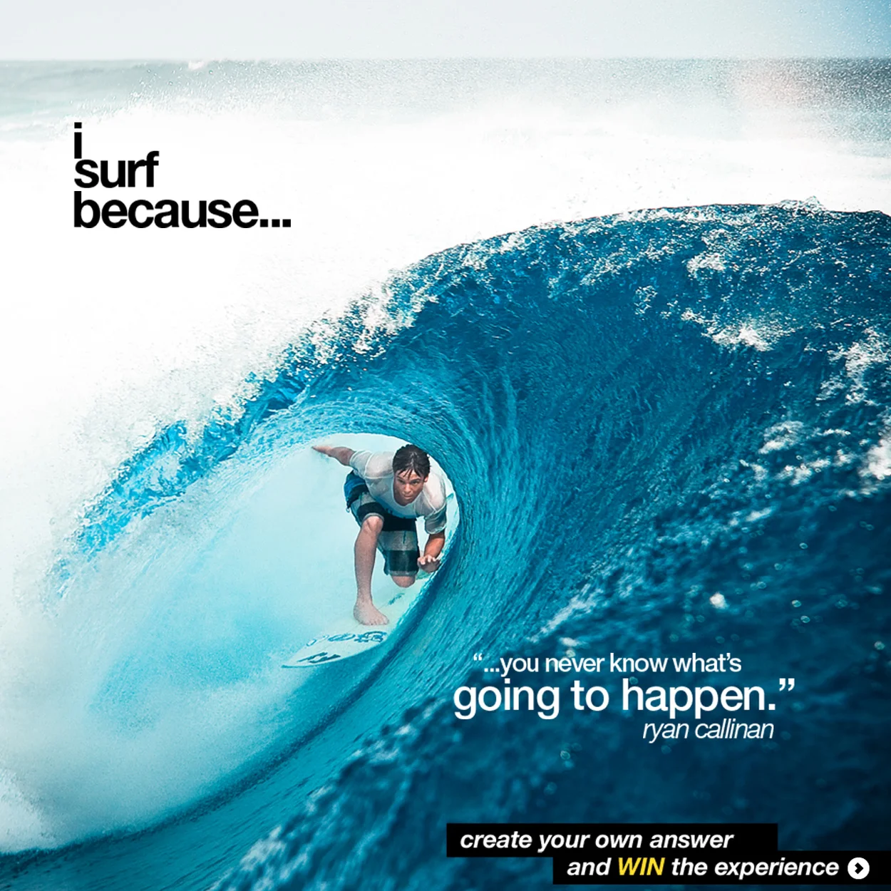 I SURF BECAUSE – DIGITAL ASSETS