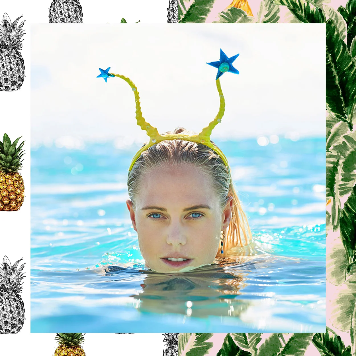 FIJI WONDERLAND