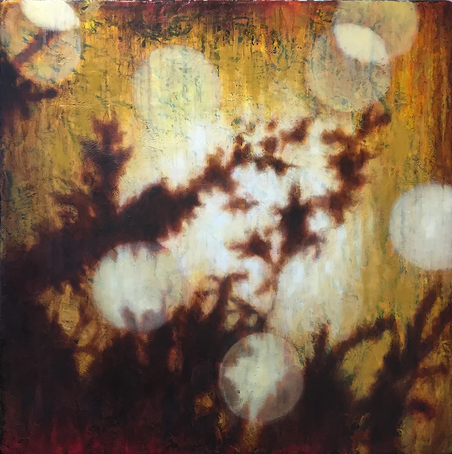 Lights and Shadows 003