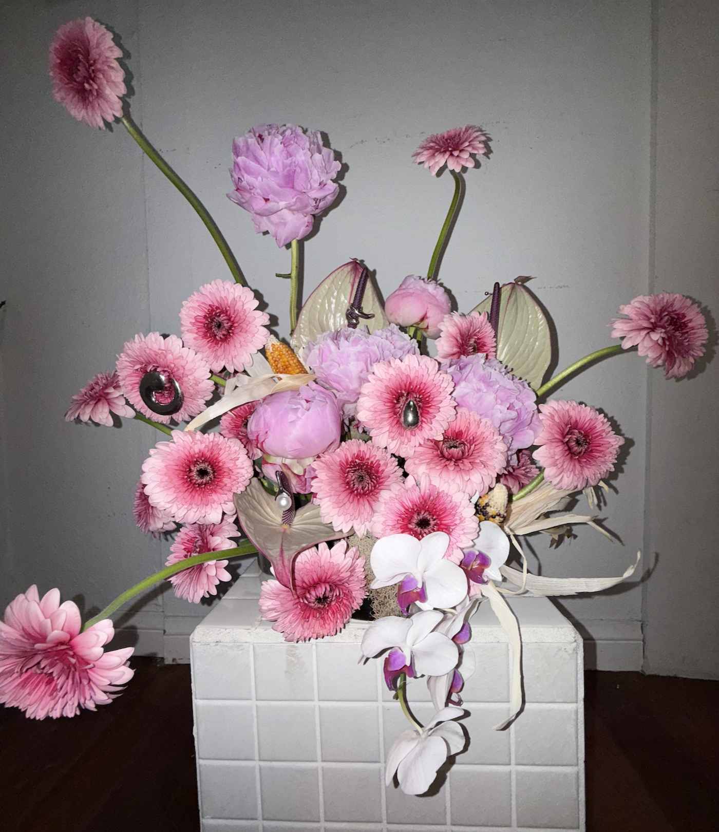 Screenshot 2026-01-26 at 12.20.41 PM.png