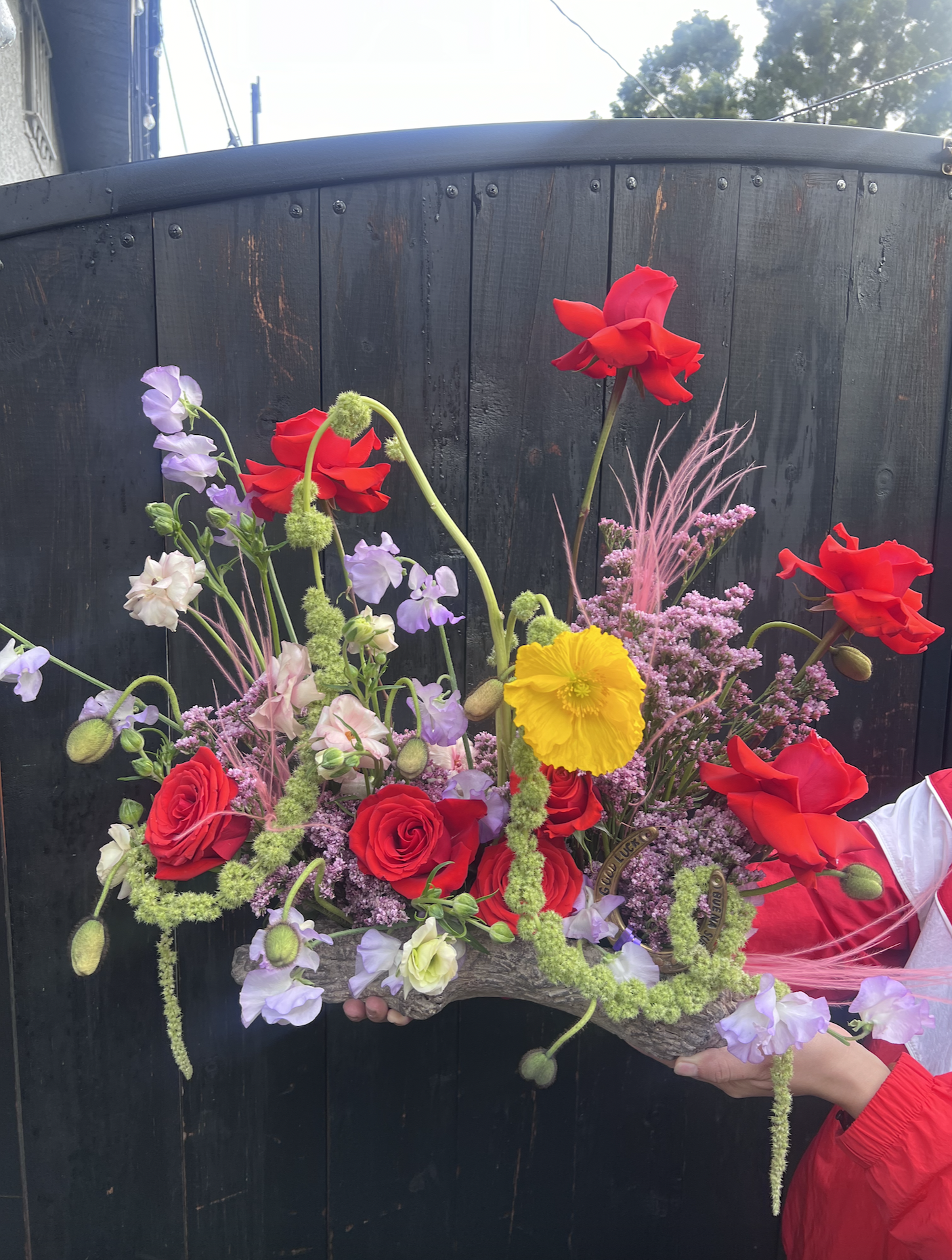 Screenshot 2026-01-26 at 12.18.41 PM.png