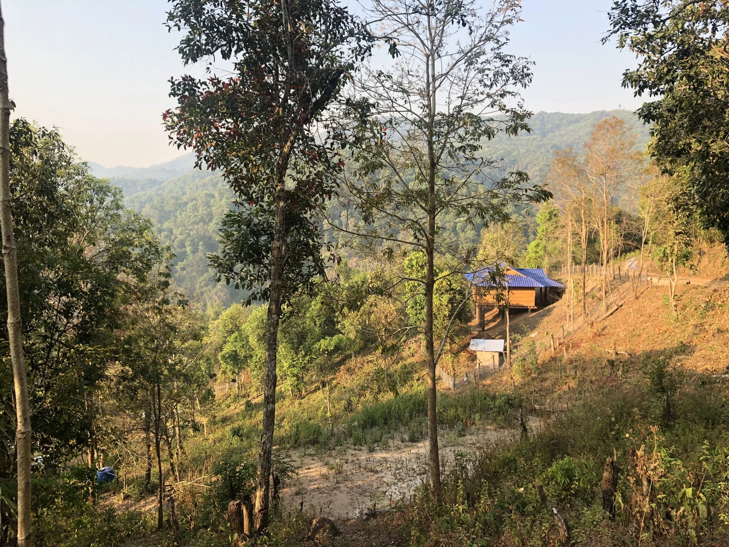 The view of the future site of Visitor Village.