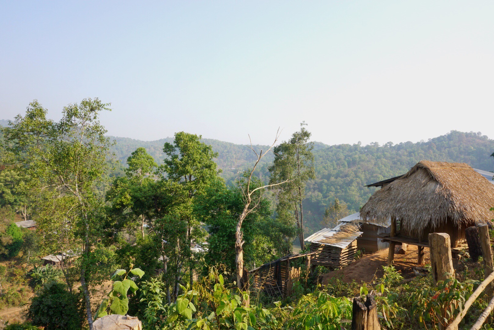 Join us in our beautiful community in Northern Thailand where we dare to care.
