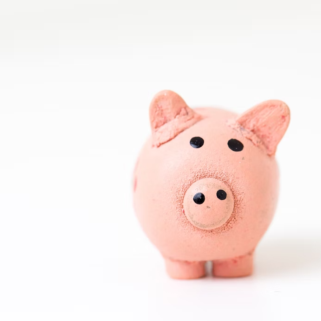 Want To Give Back But Keep on Budget? Here’s How To Do It.