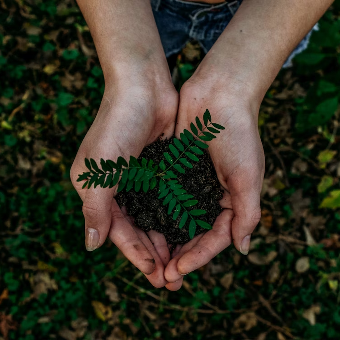 What to Avoid When Telling Your Sustainability Story