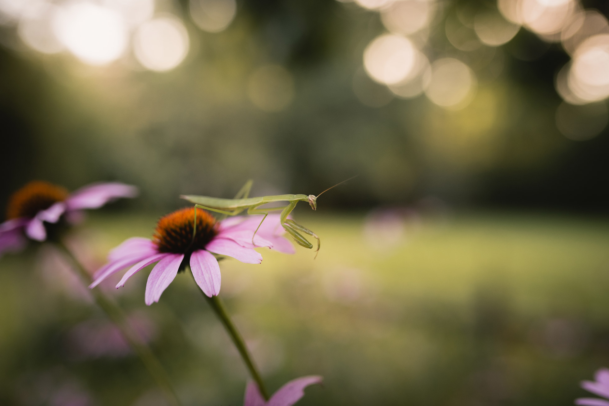 error.jpg
