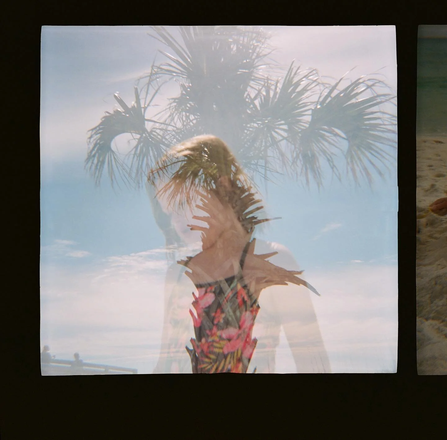 Some of my favorite scans I got back from my Diana F camera! @bluehillimages told me a long time ago to pick it up and start shooting with it. We&rsquo;ll I finally did! 🎉 I will be shooting more film in the future for sure. Please start me a go fun