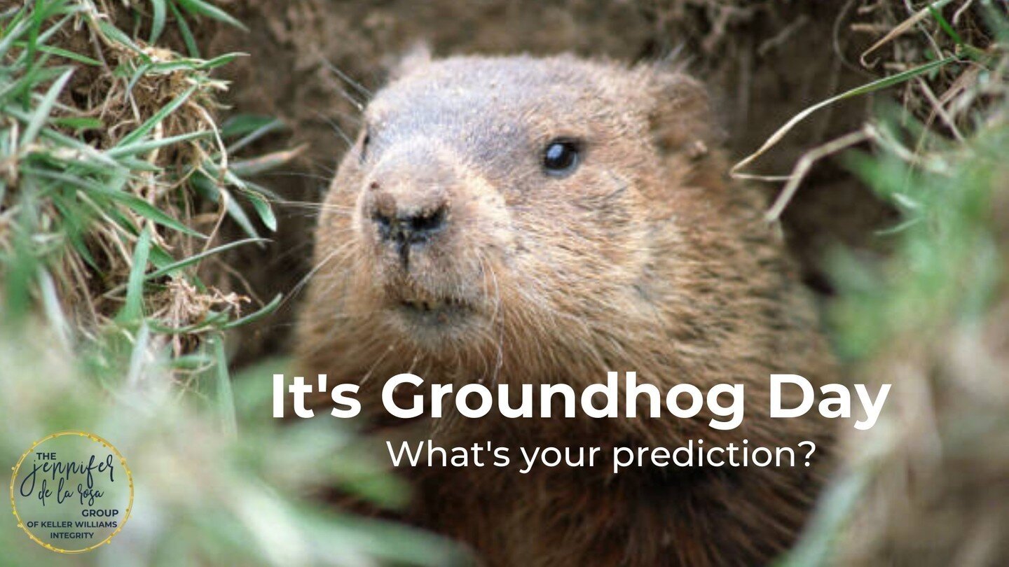 It's Groundhog's Day! What's Your Prediction?