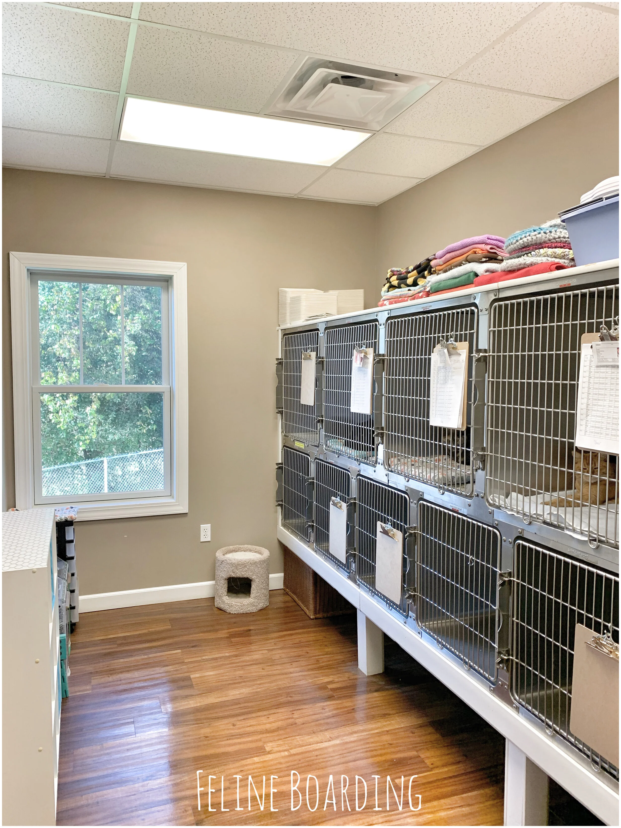 Facility — COUNTRY GARDEN VETERINARY CLINIC