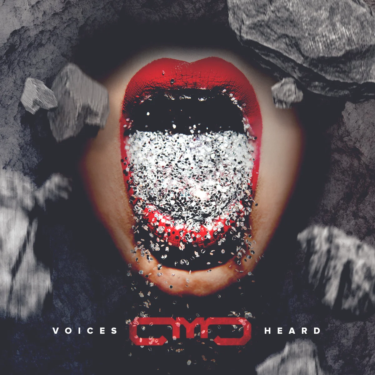 Voices Heard album cover