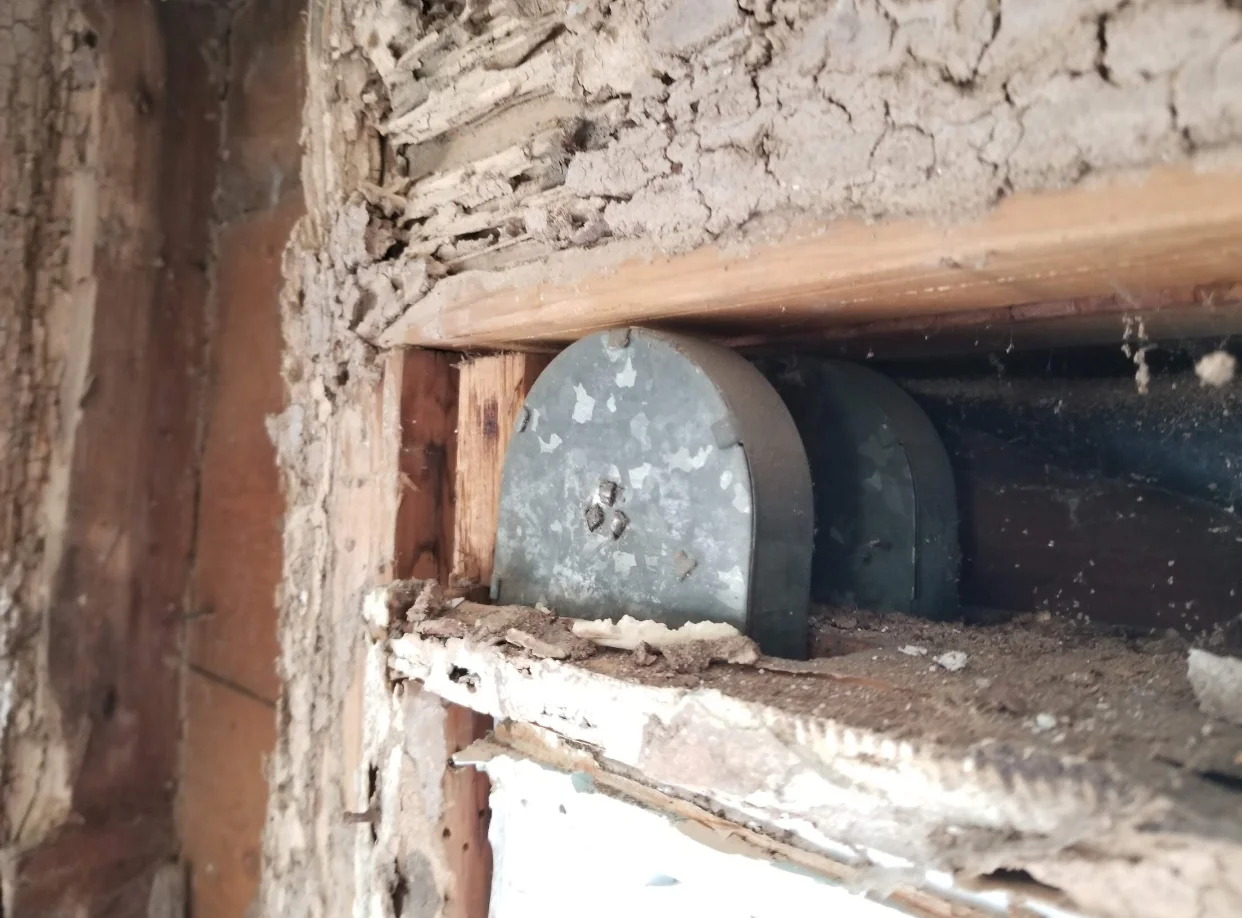 Termite damaged home gets second opinion and a second chance! Part 1