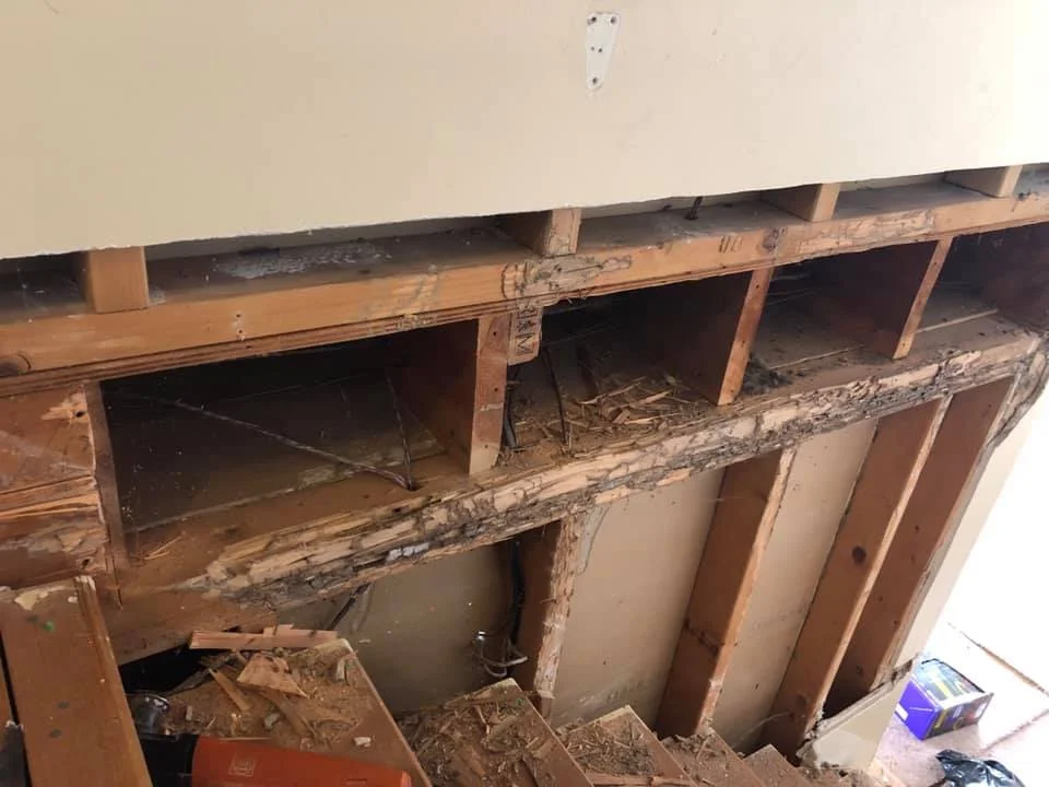 Termite damage and how an expert fixes it