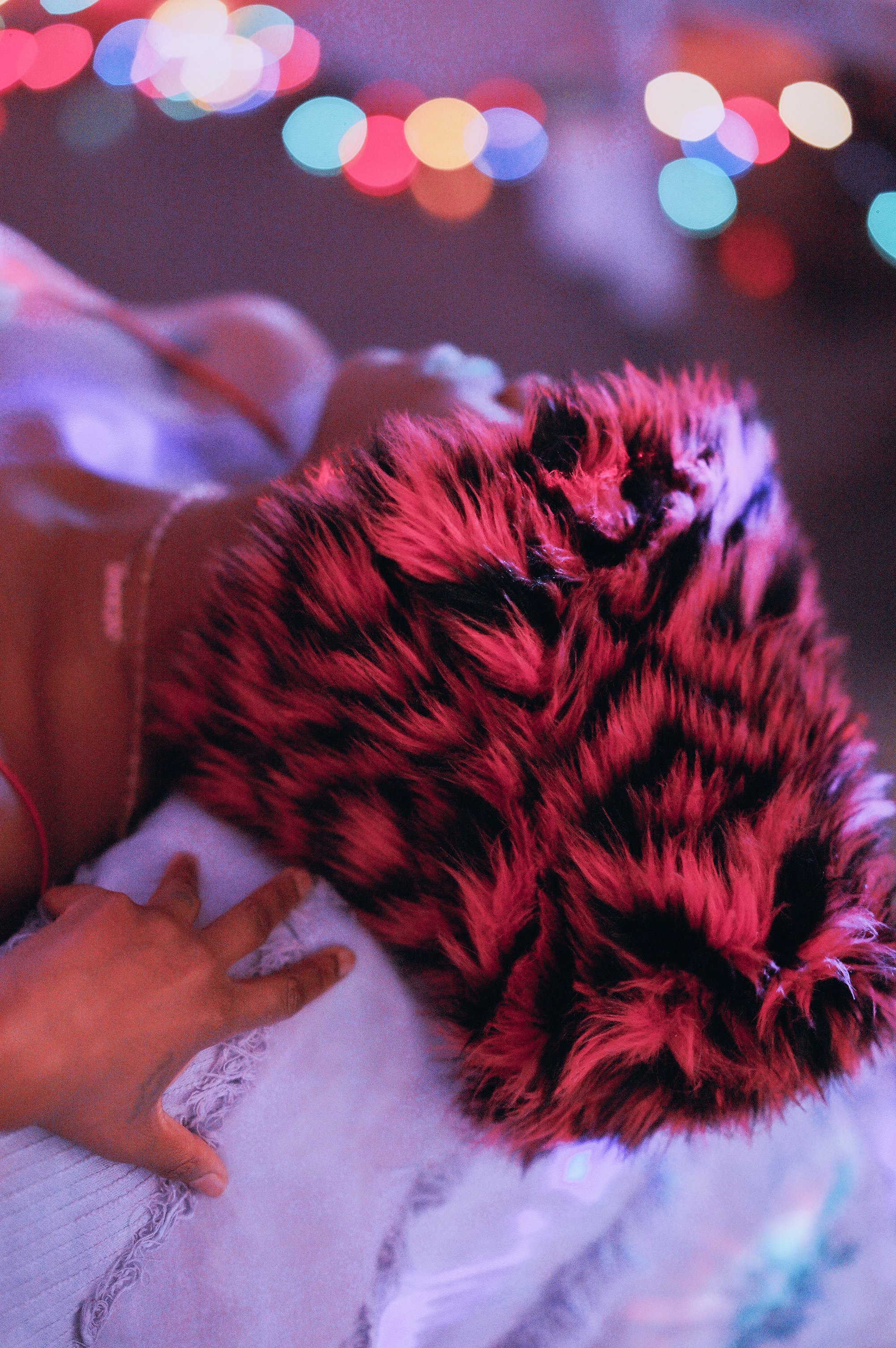 Nanichi Studios | Vie No.40.JPG