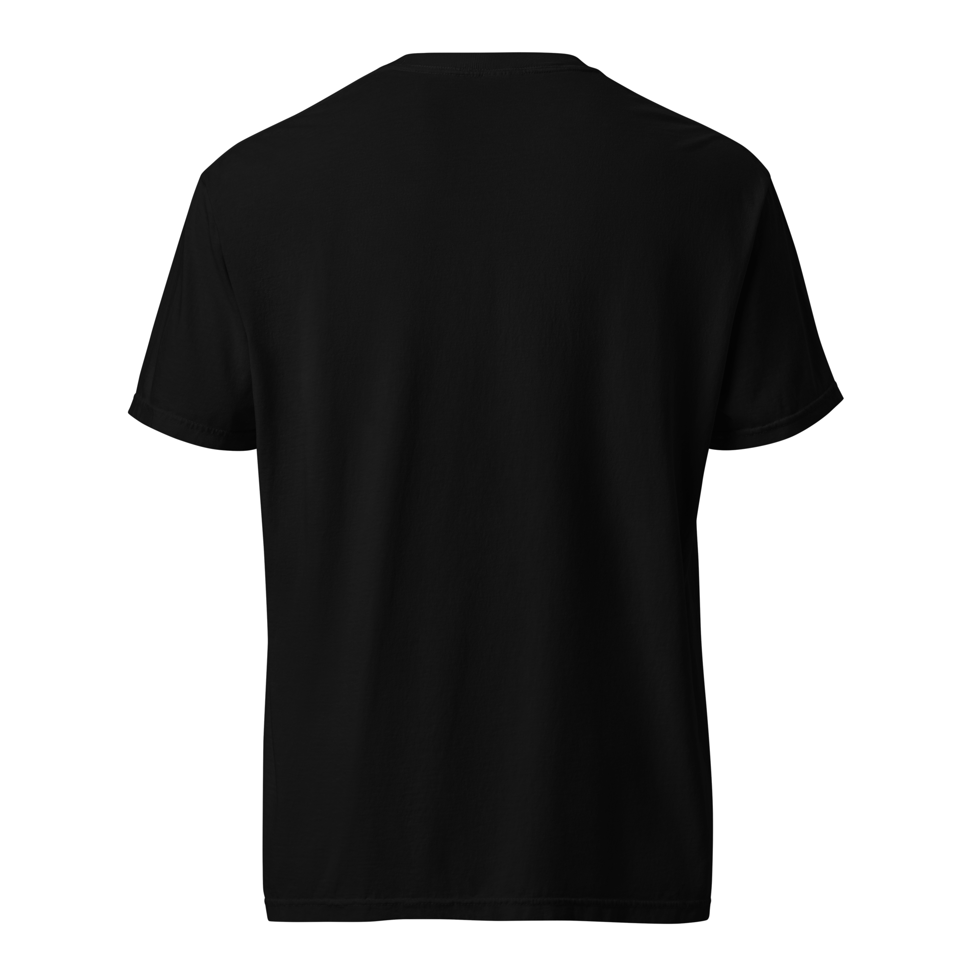 unisex-garment-dyed-heavyweight-t-shirt-black-back-65a5e978b615c.png