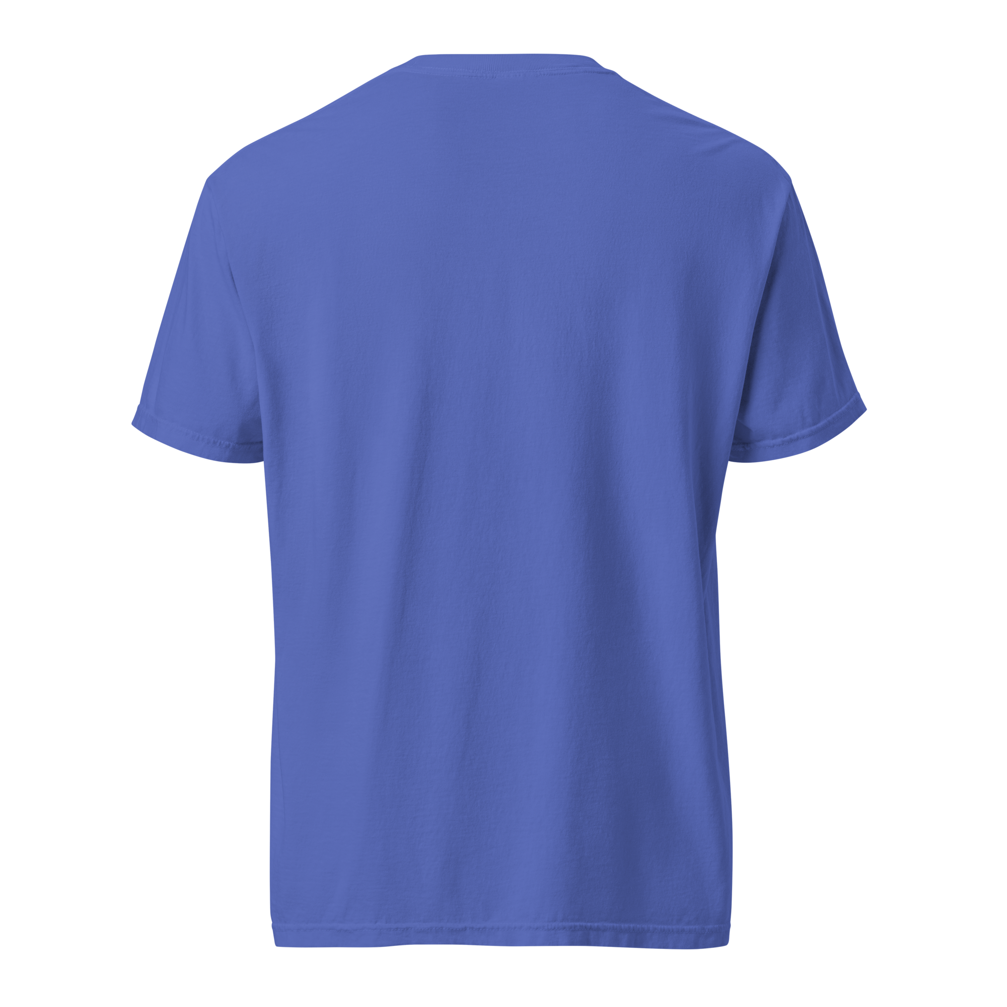 unisex-garment-dyed-heavyweight-t-shirt-flo-blue-back-65a5eb2eef8e3.png