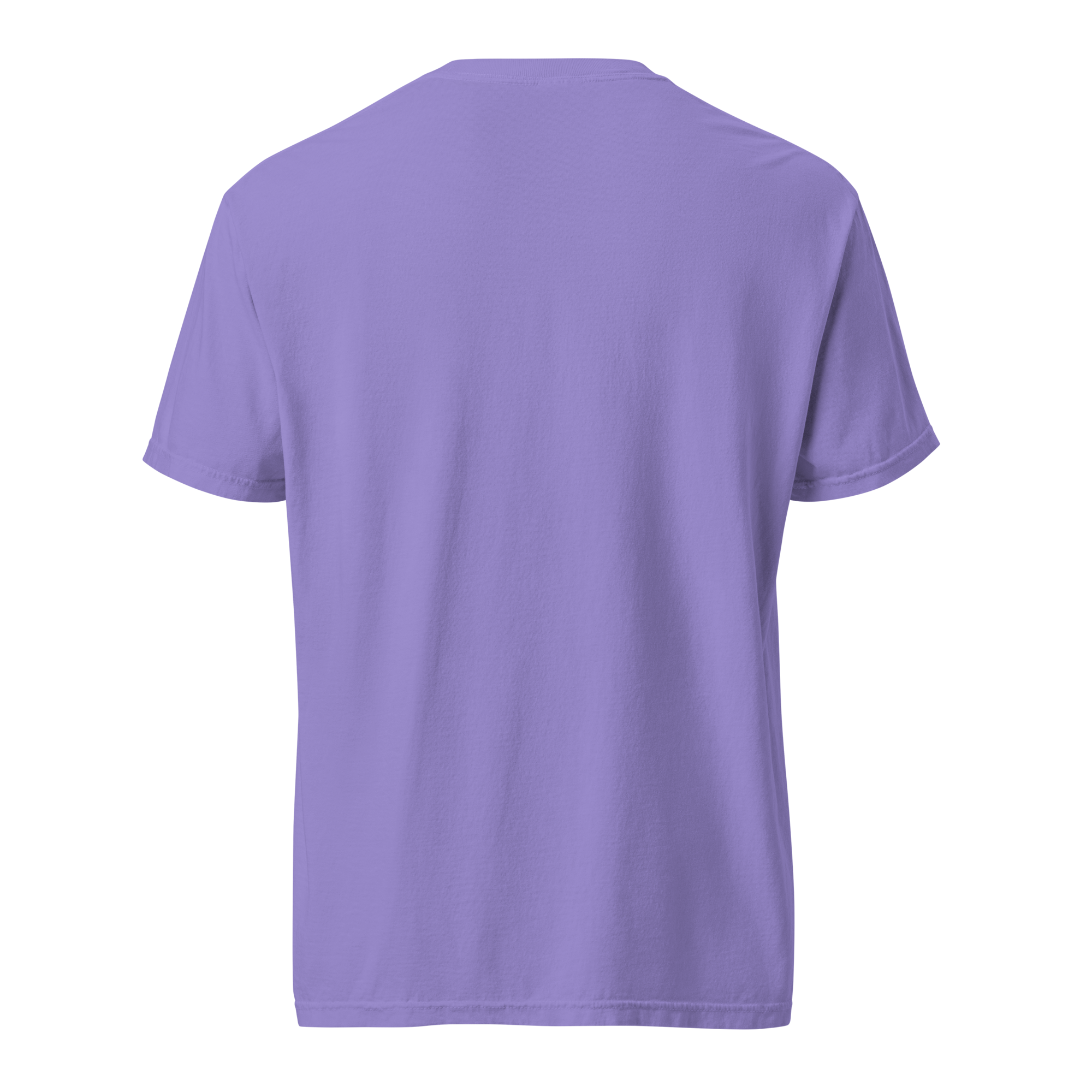 unisex-garment-dyed-heavyweight-t-shirt-violet-back-65a5eb2ef0117.png