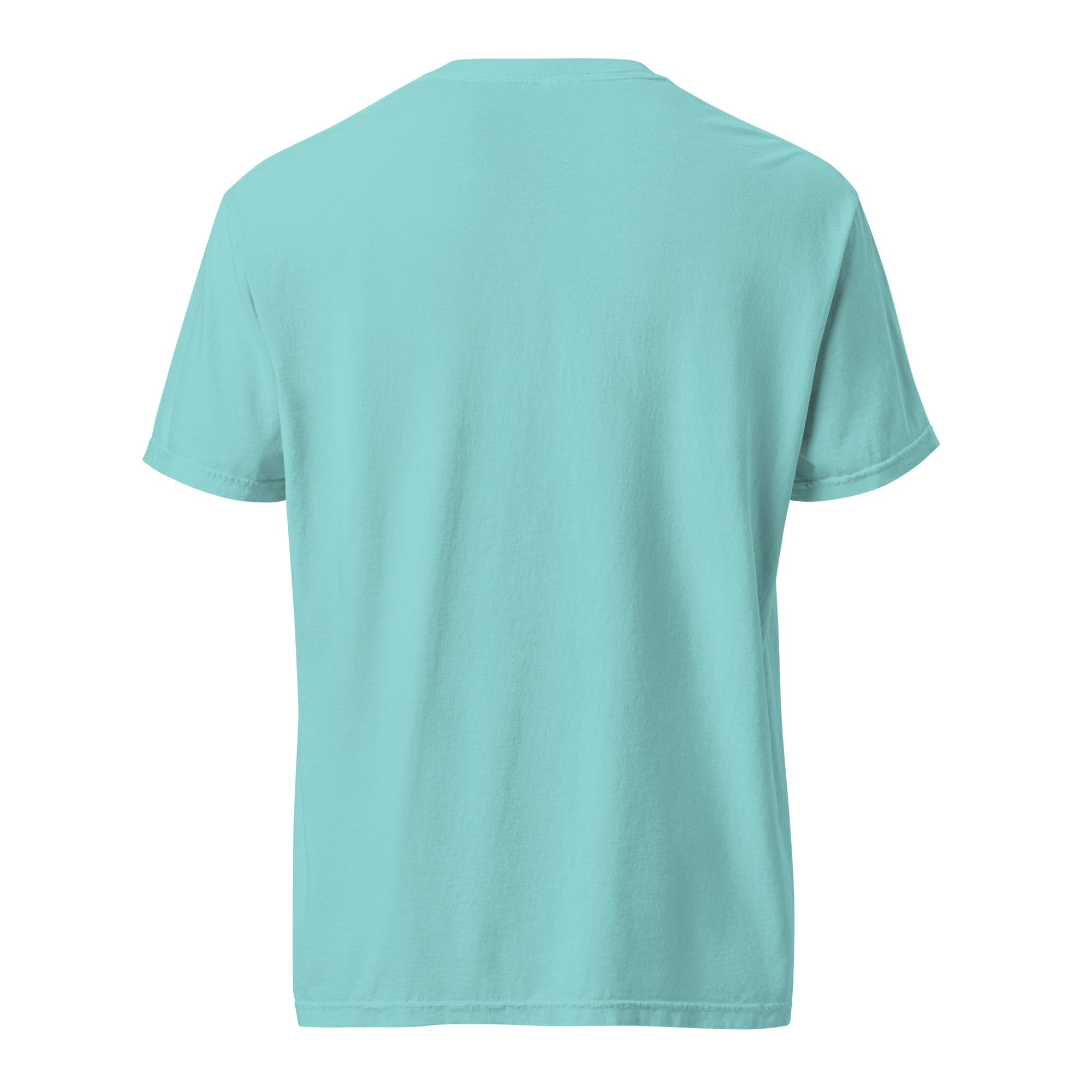 unisex-garment-dyed-heavyweight-t-shirt-lagoon-blue-back-65a5eb2ef2ccd.png