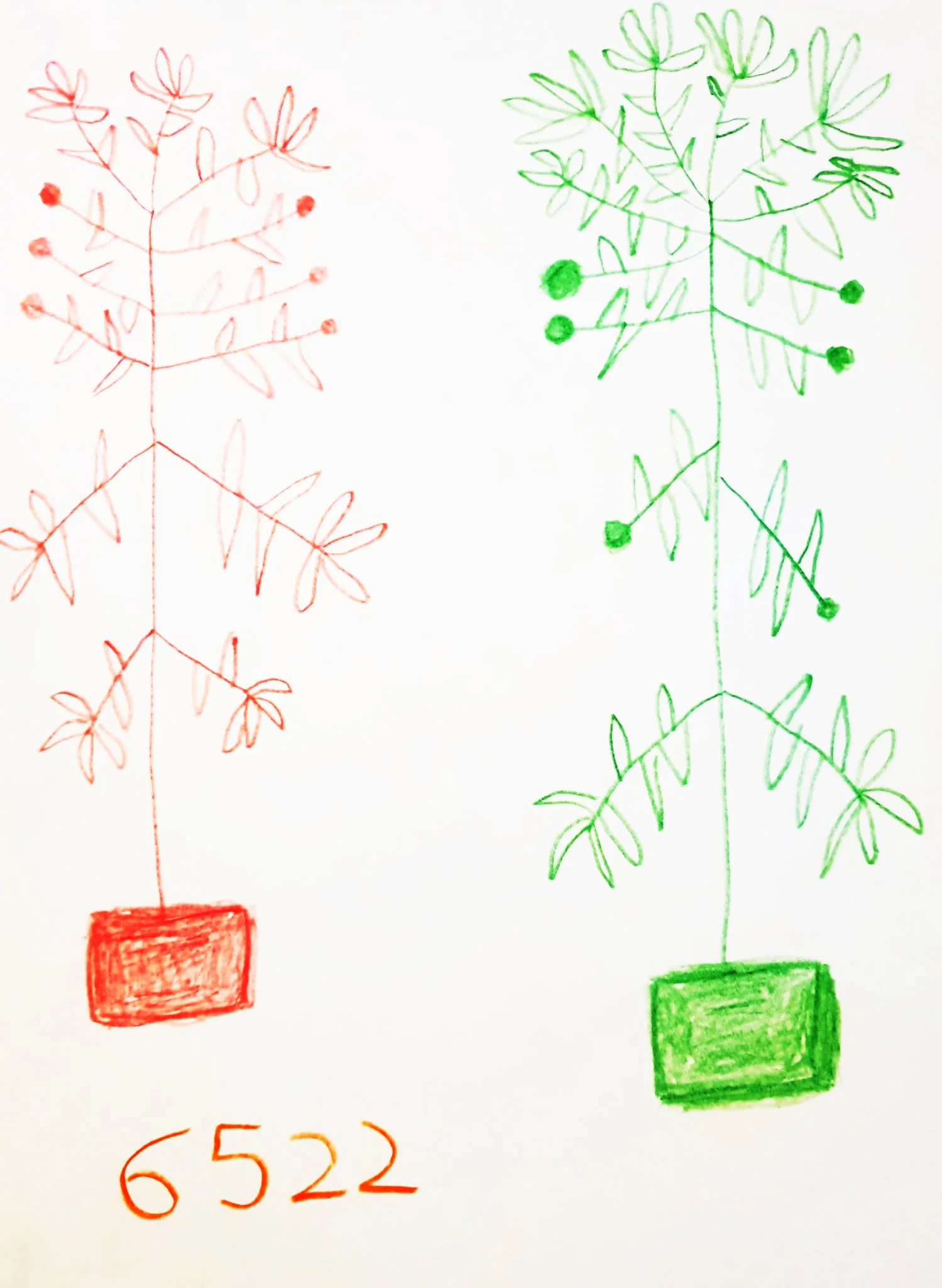 WhatsApp Image 2022-05-09 at 5.12.09 PM copy 2.jpeg