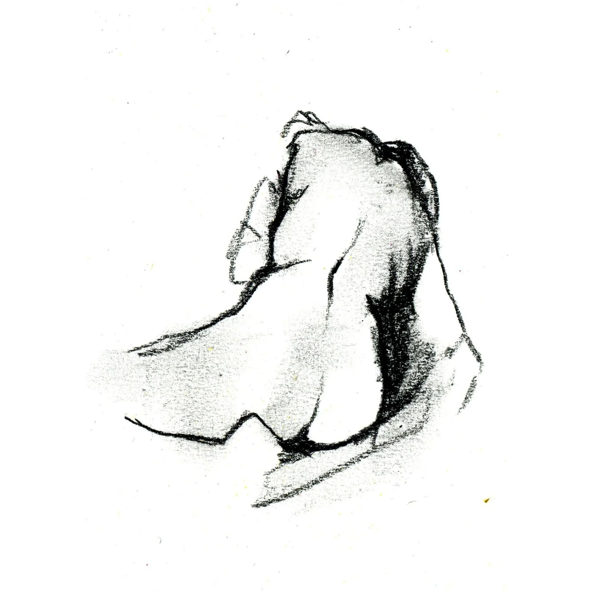 Untitled design (10).jpg