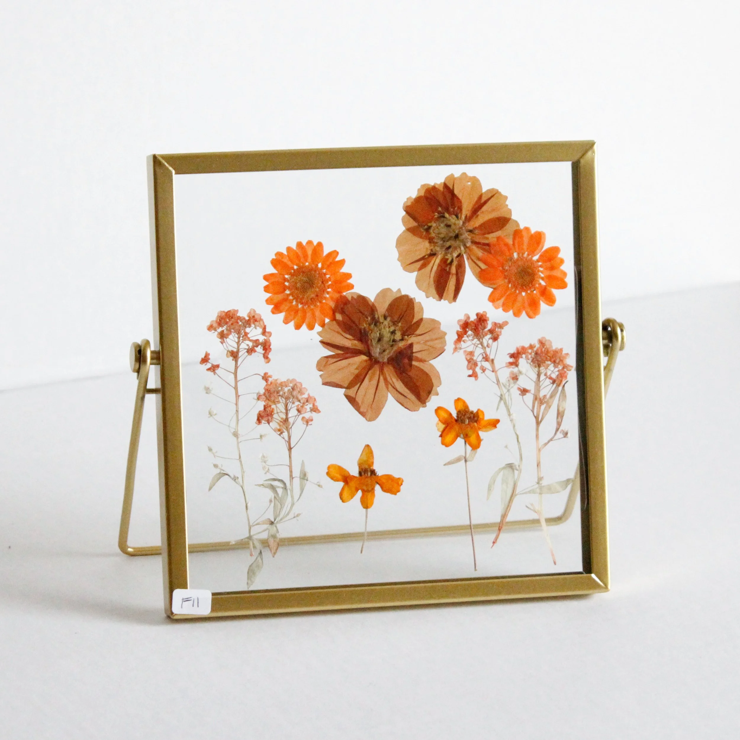 Pressed Flower N11
