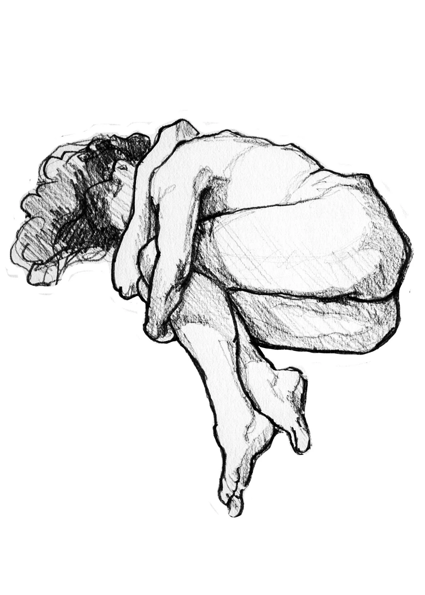 Untitled design (1).jpg