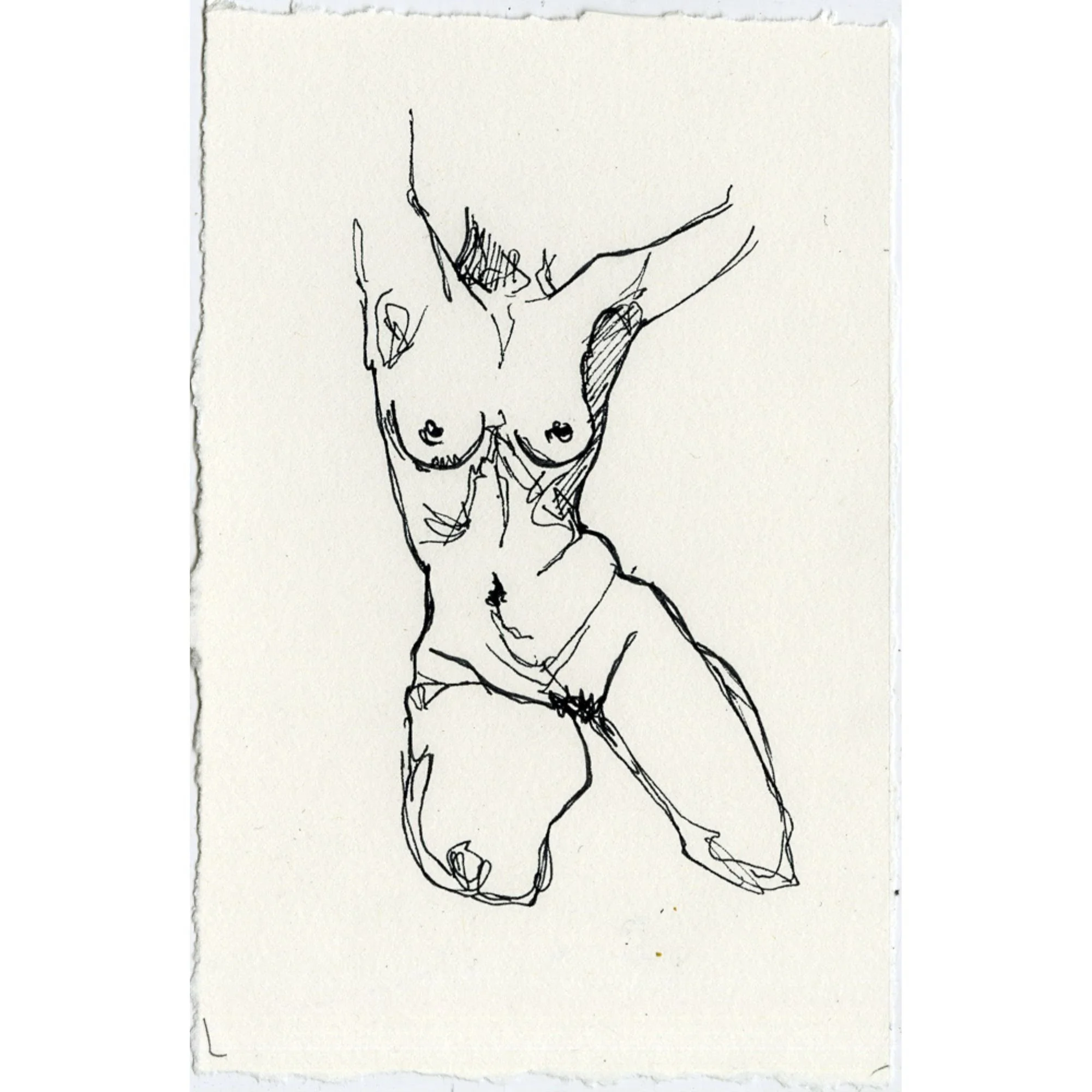 Untitled design (12).jpg