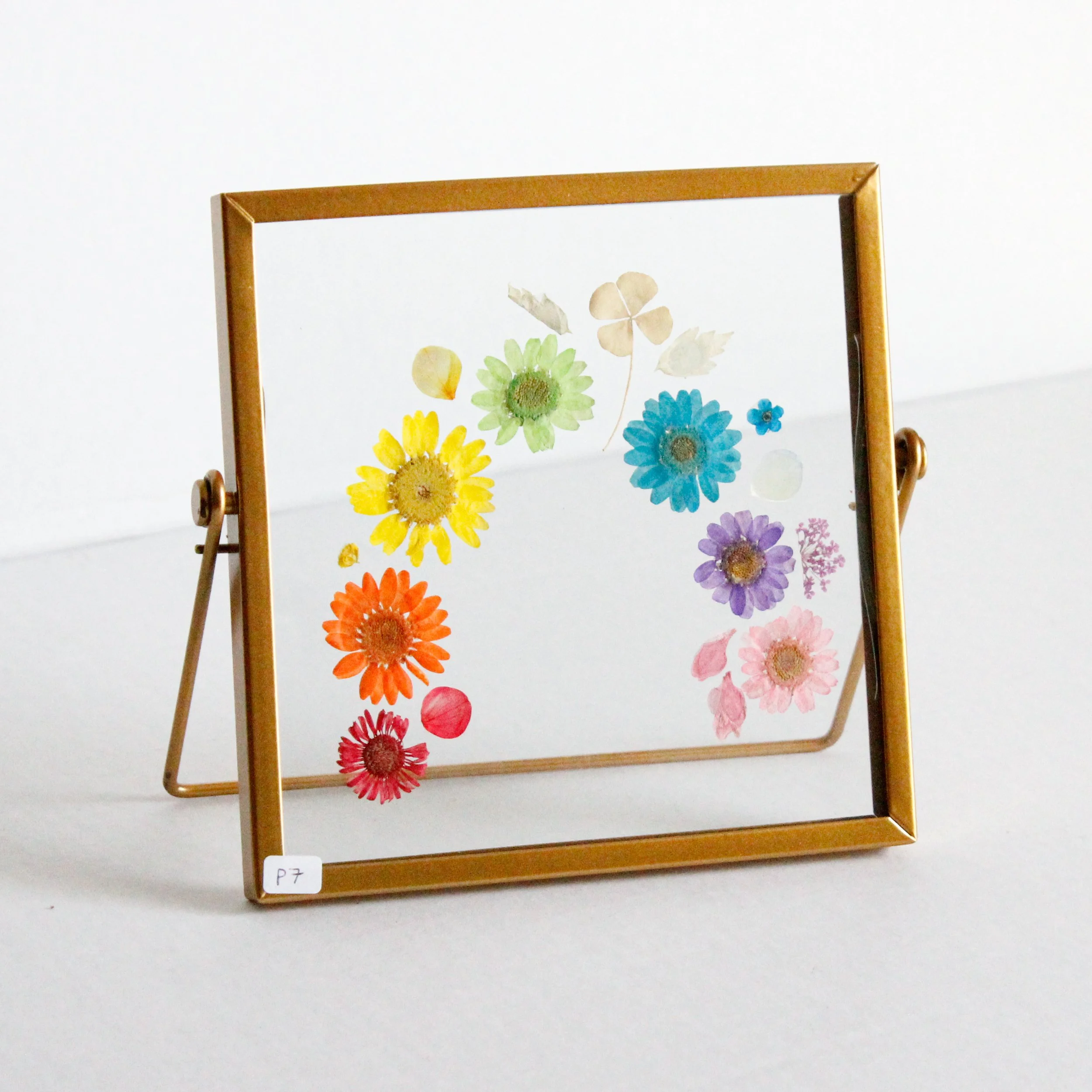 Pride Pressed Flower N7