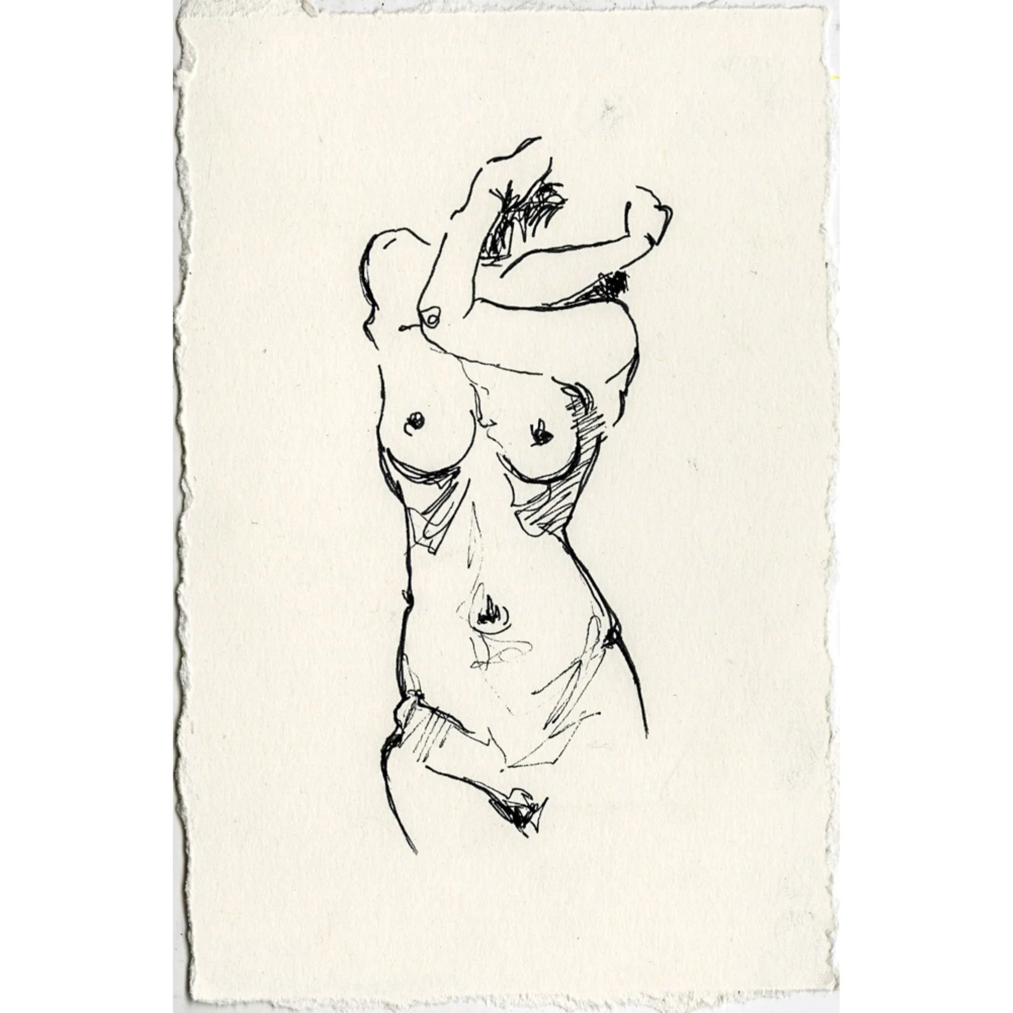 Untitled design (13).jpg