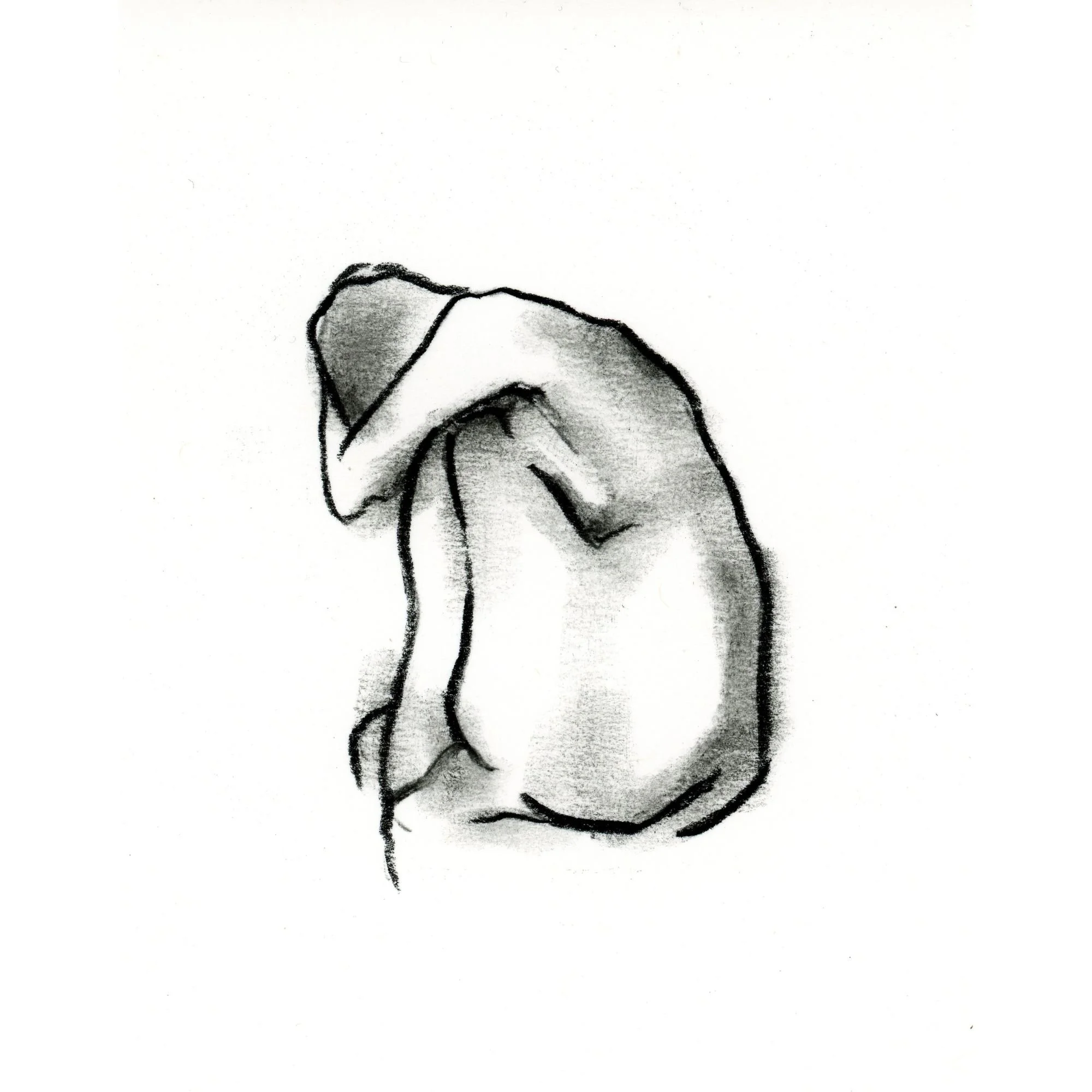 Untitled design (11).jpg