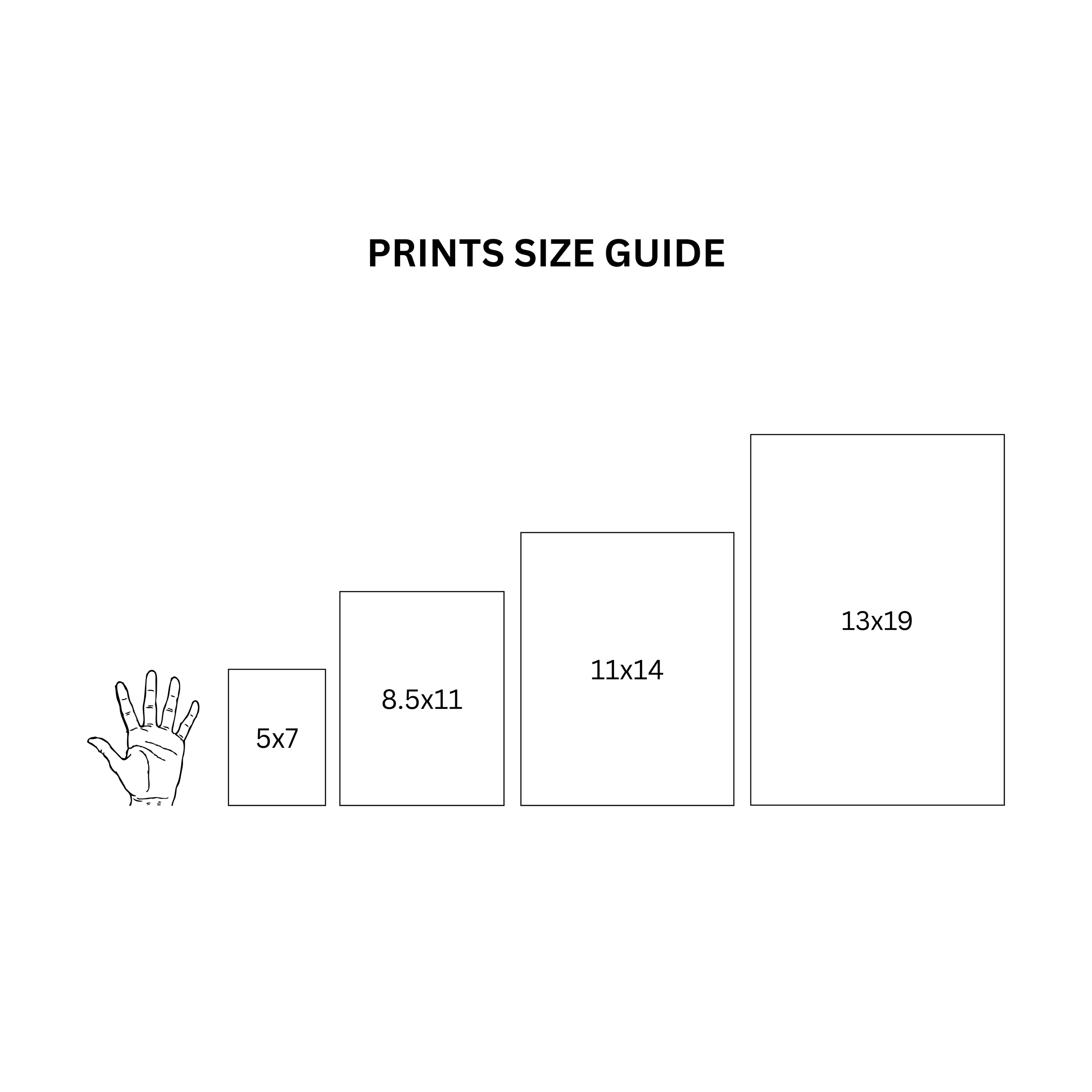 Prints size guide.png