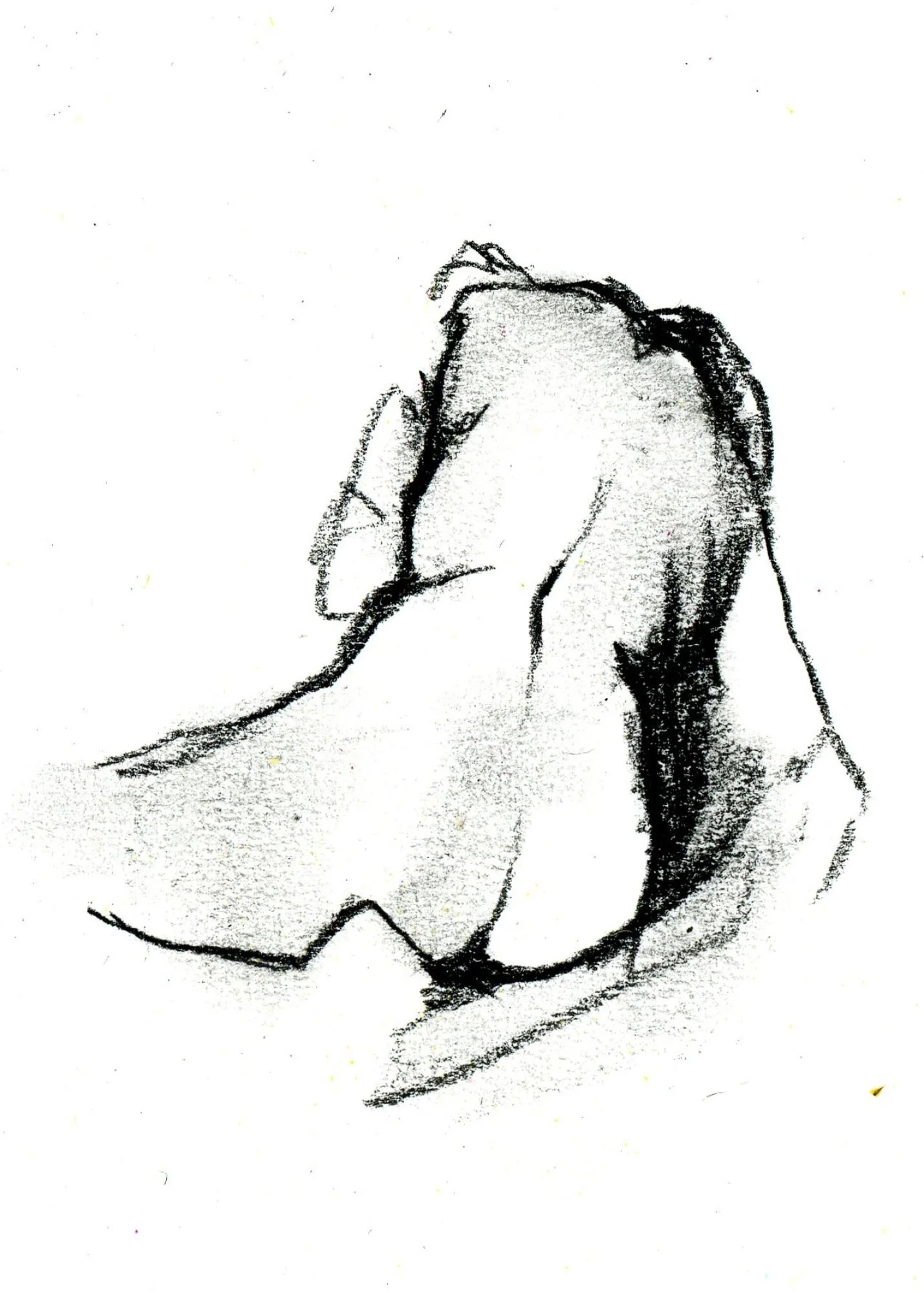 Untitled design (9).jpg