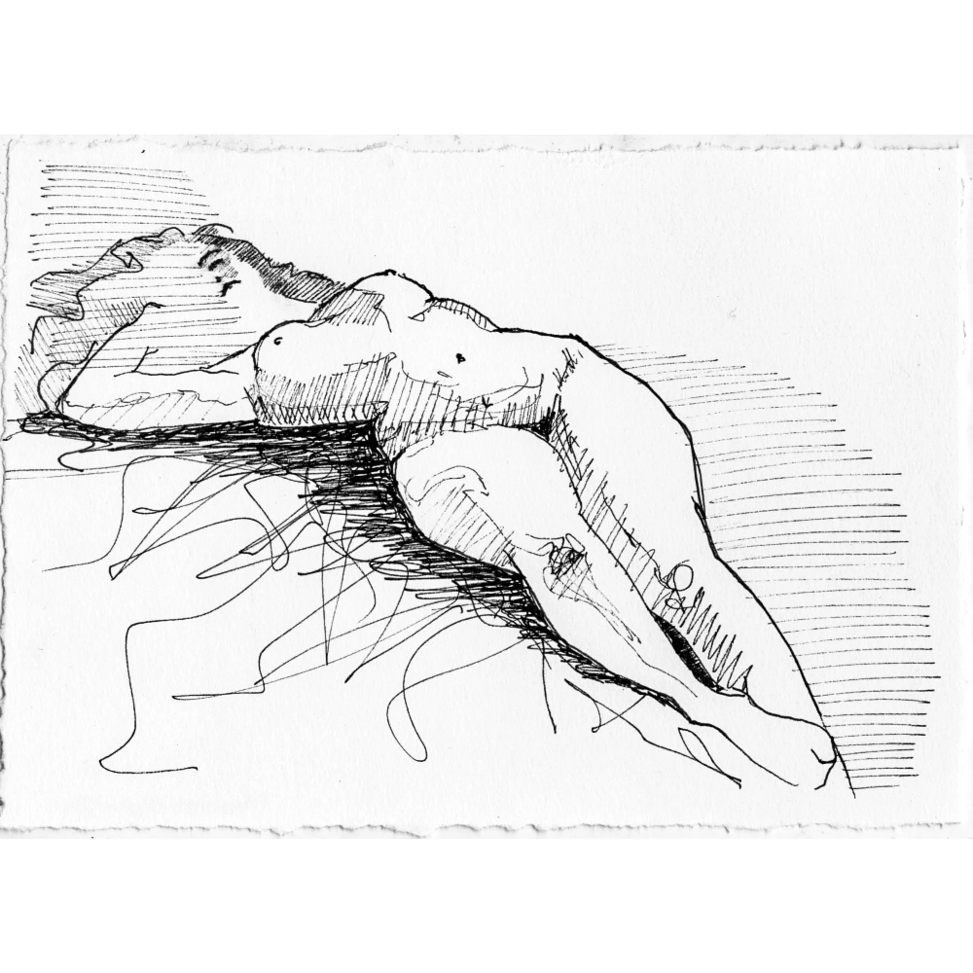 Untitled design (14).jpg