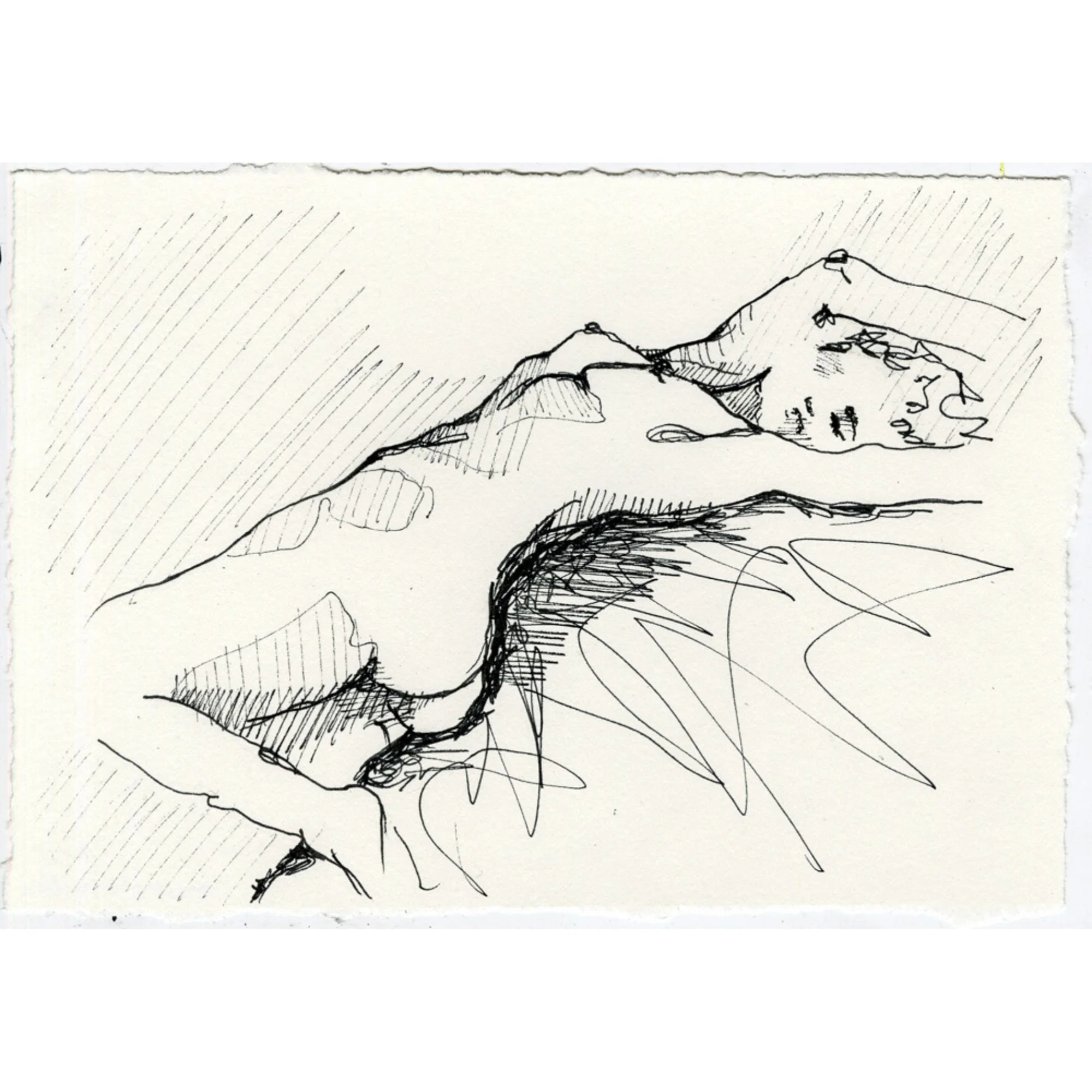 Untitled design (15).jpg