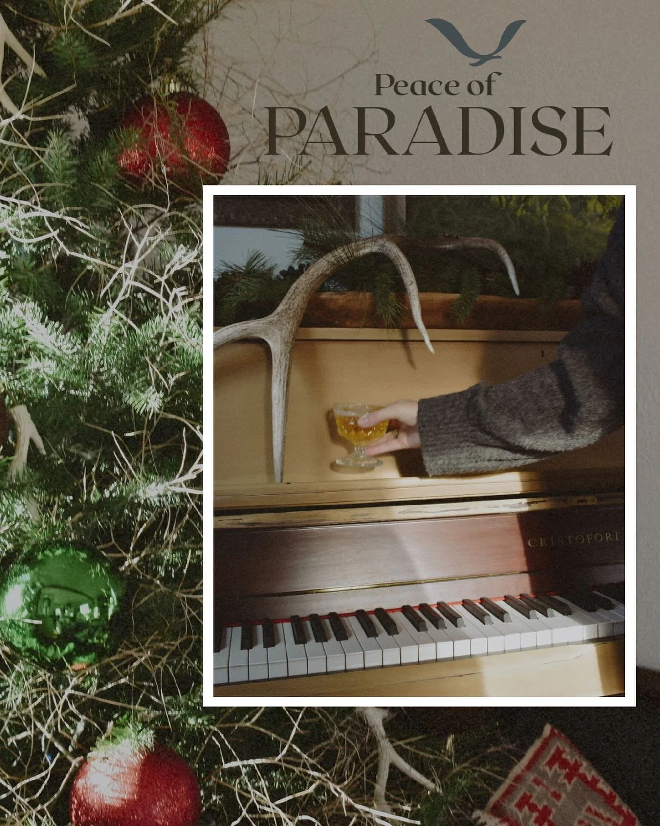 Celebrate the season in the mountains — our cozy bar lounge #elcoyote is the perfect place to gather with friends, sip something festive, play the piano and soak in the holiday spirit.ππ«
#MountainBar
#ElCoyoteBar 
#ParadiseValleyMT 
#RusticR