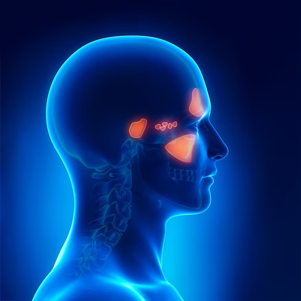 The Semi-Complete User's Guide to the Sinuses