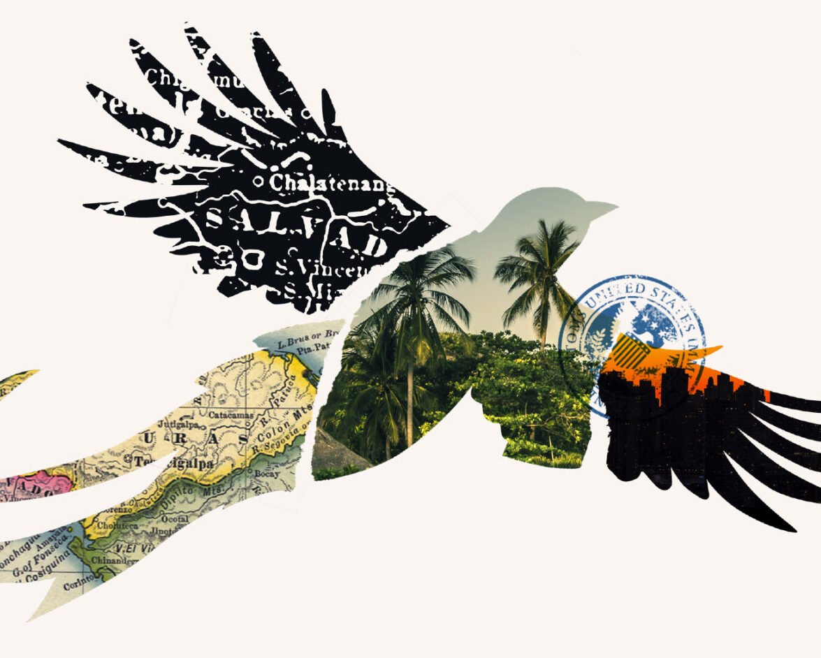 A Complete Account of our Broken Immigration System