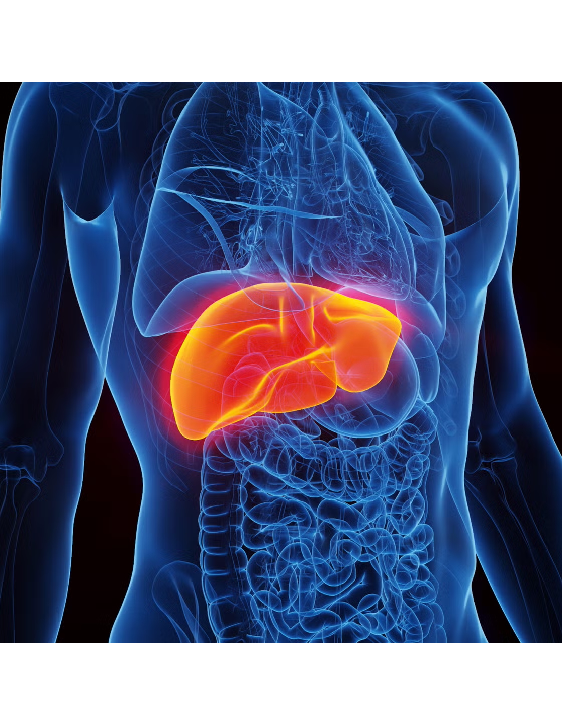The Semi-Complete User's Guide to the Liver