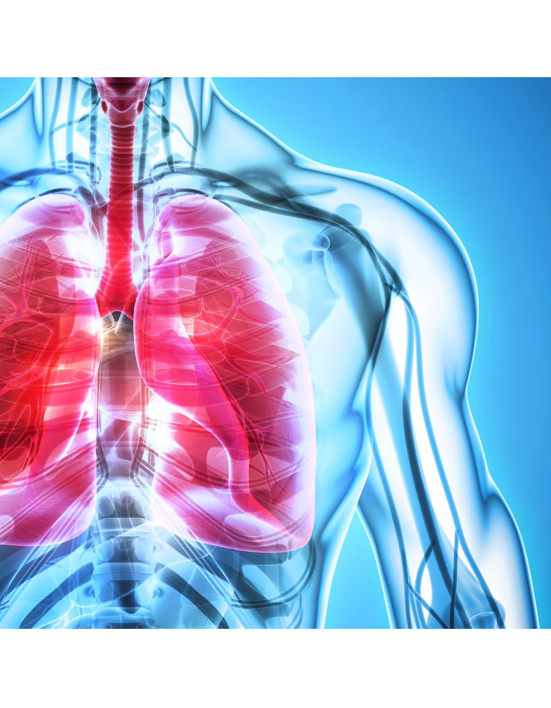 The Semi-Complete User's Guide to the Lungs