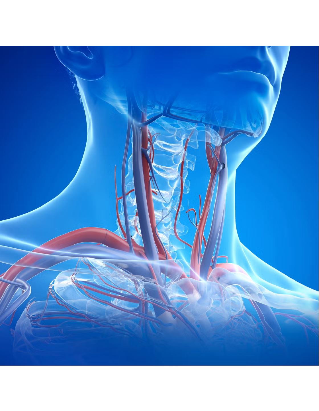 The Semi-Complete User's Guide to the Throat