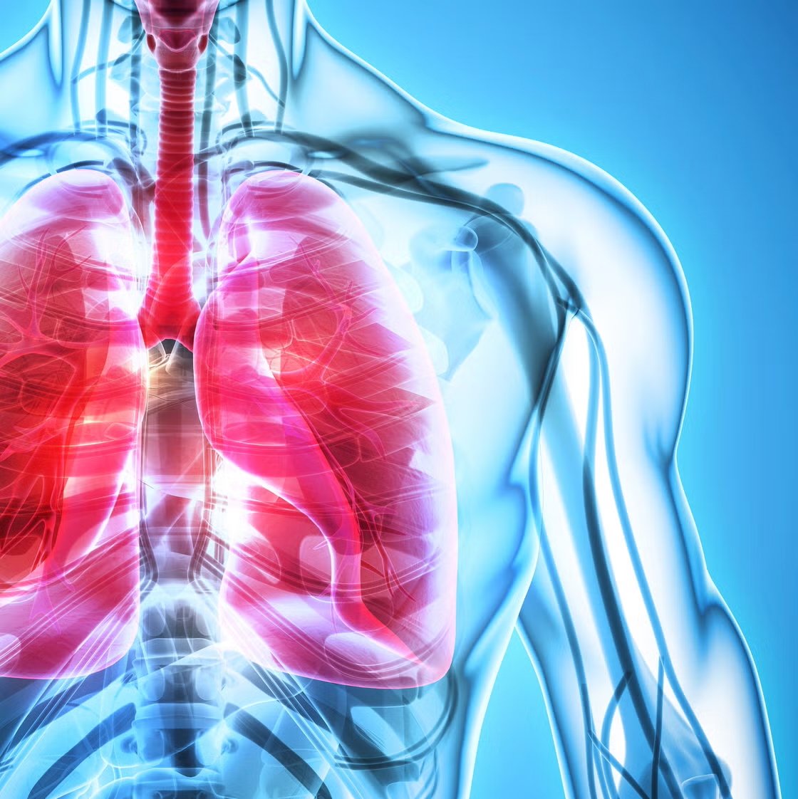 The Semi-Complete User's Guide to the Lungs