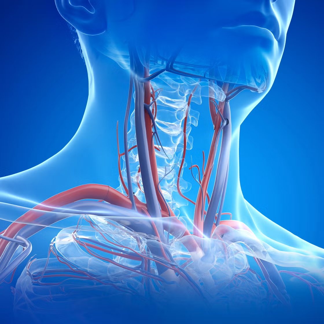 The Semi-Complete User's Guide to the Throat