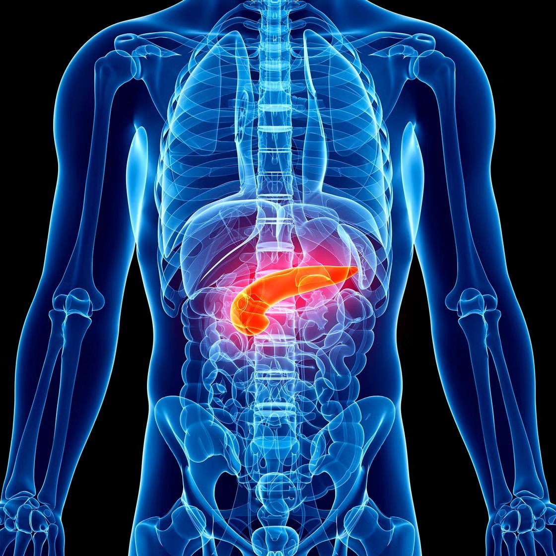 The Semi-Complete User's Guide to the Pancreas
