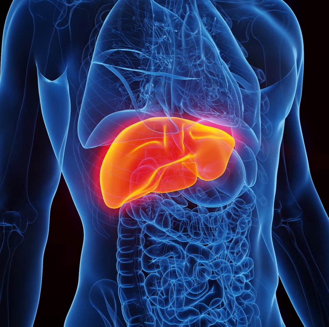 The Semi-Complete User's Guide to the Liver